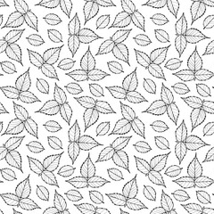 Vector floral pattern with raspberry leaves