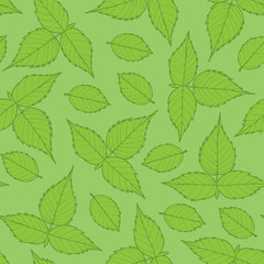 Vector floral pattern with raspberry leaves