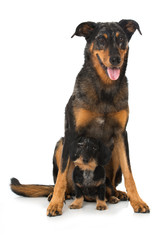 Groß und Klein