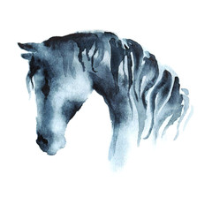 Watercolor hand painting horse head on white. Hand drawing illustration.