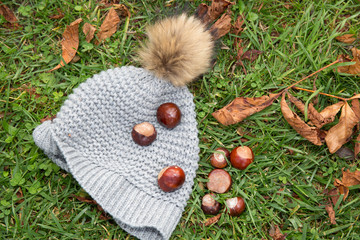 The season of chestnuts. Chestnuts on grass with hat.