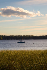 sail boat and lake grass