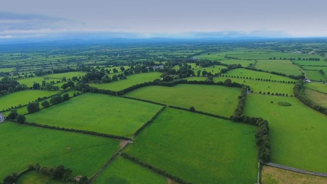 The green farm fields and the trees around in the area where the Rock of Cashel is located in Ireland