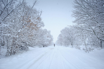 the road in the snow