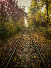 Railroad rails in autumn with sunshine