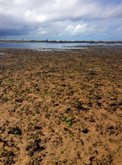 Reefs by the beach at low tide