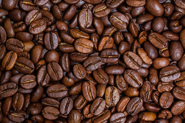 Coffee motif  texture, grains of coffee plant wallpaper