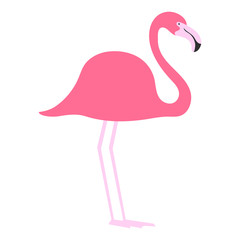 flat bird isolated on white background, beautiful vector illustration