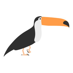 flat bird isolated on white background, beautiful vector illustration