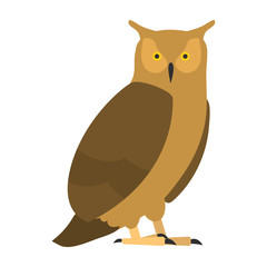 flat bird isolated on white background, beautiful vector illustration