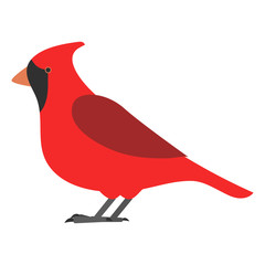 flat bird isolated on white background, beautiful vector illustration