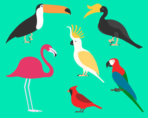Fototapeta premium Set of flat birds, isolated on background. different tropical and domestic birds, cartoon style simple birds for logos.