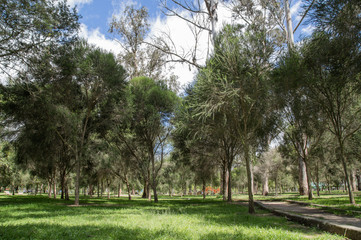 Schattiger Ort im Park La Carolina, südlicher Teil  Quito Ecuador © nidafoto