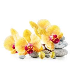 Fototapeta na wymiar Yellow orchid flowers and spa stones