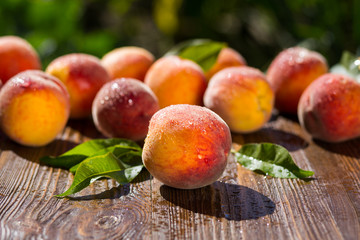 Fresh peaches, Peach close up fruit background, peach on wood background,sweet peaches, group of peaches,Peaches pattern texture fruit market peach background