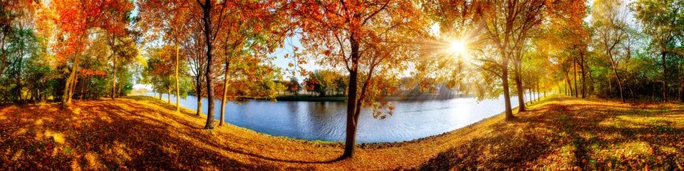 Crédence de cuisine en verre imprimé Panoramique Paysage d& 39 automne, panorama ensoleillé à l& 39 orée de la forêt avec vue sur une rivière