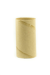 Tissue core isolated on the white background.