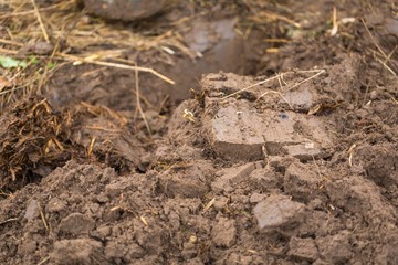 Fresh soil in garden