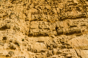 Sandstone Cliffs of West Bay