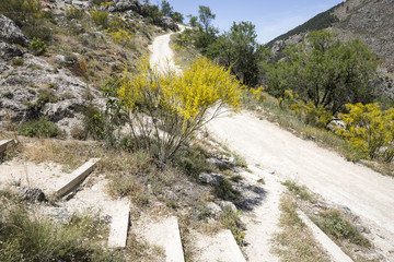 Fototapeta na wymiar a mountain path in the ascent to Moclín town, province of Granada, Spain