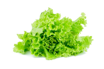 Salad leaf. Lettuce isolated on white background.