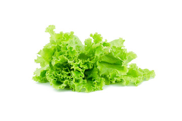 Salad leaf. Lettuce isolated on white background.