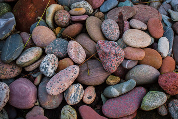 sea stones