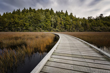 Curving boardwalk over Wetlands in Okarito, Westland, South Island, New Zealand