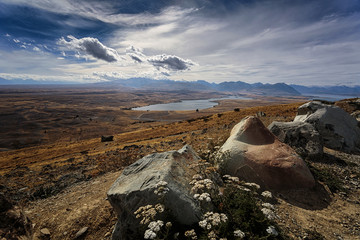 Lake Alexandrina in the McKenzie Basin, from Mt John, Tekapo, New Zealand