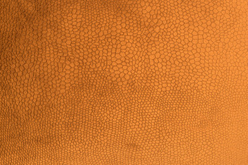 Timber / Carpet / Material / Suede / felt / benchtop