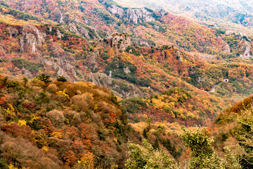 寒霞渓　紅葉６