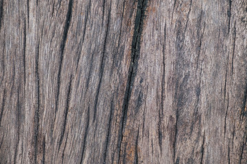 Wooden background