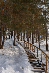 Snow-covered wooden staircase in pine forest.