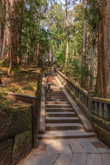 Fototapeta premium Takinoo Shrine in Futarasan shrine(UNESCO World Heritage site). a famous historic site in Nikko, Tochigi, Japan.