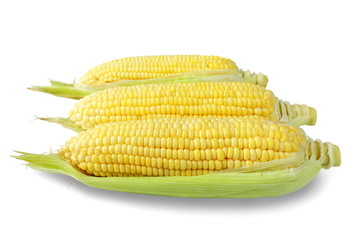  corn isolated on white background.