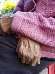 closeup hand of old asian woman with violet pullover.
