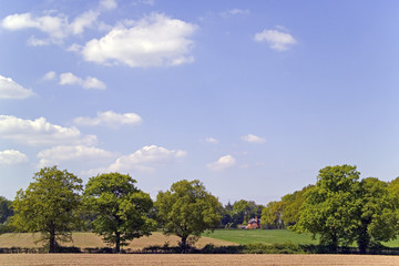 Obraz premium footpath trail in the english countryside UK
