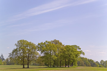 footpath trail in the english countryside UK