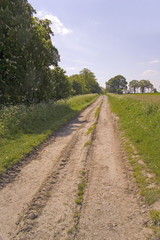 Fototapeta na wymiar footpath trail in the english countryside UK