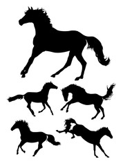 Horses gesture animal silhouette. Good use for symbol, logo, mascot, sign, or any design you want.