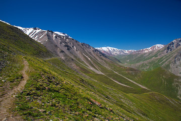 Fototapeta premium Green grassy mountain valley with ice peaks, Central Tien-Shan