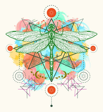 Dragonfly color tattoo vector.Hand drawn mystical symbols