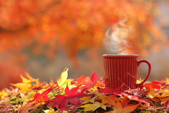 Fototapeta   Blurred autumn tree background with hot steaming cup of coffee/tea. (place for text, shallow DOF).