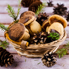 Cookies mushrooms with chocolate icing