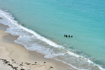 Un groupe de femmes marchent dans l'eau, c'est la pratique du longe côte. Bretagne à Trégastel