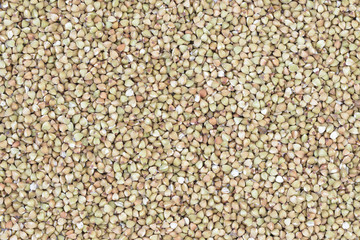 Buckwheat seeds