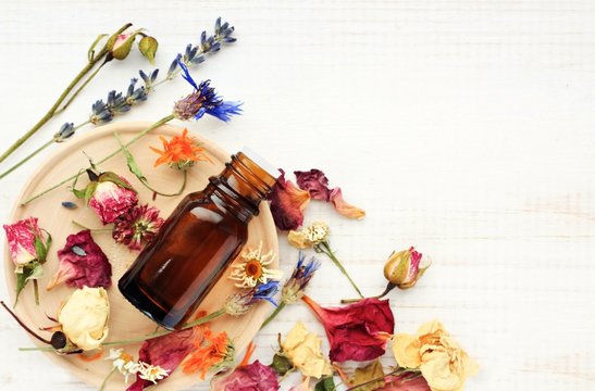 Various bright medicinal herb plant on wooden plate, essential oil extract bottle, top view. Botanical cosmetic ingredients, aromatherapy background. Herbal pharmacy.