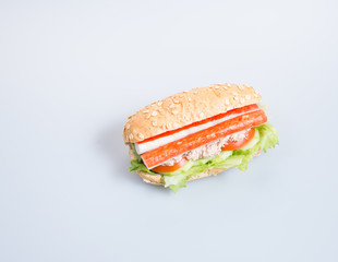 sandwich or health sandwich on the background.