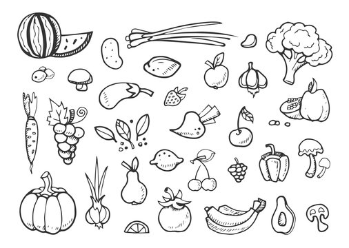 Fresh vegetables and fruit vector doodle icons. healthy eating hand drawn menu elements