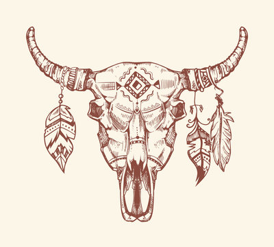 Aztec tribal buffalo skull vector t-shirt print, tattoo. Dead animal cow totem with feathers hand drawn illustration